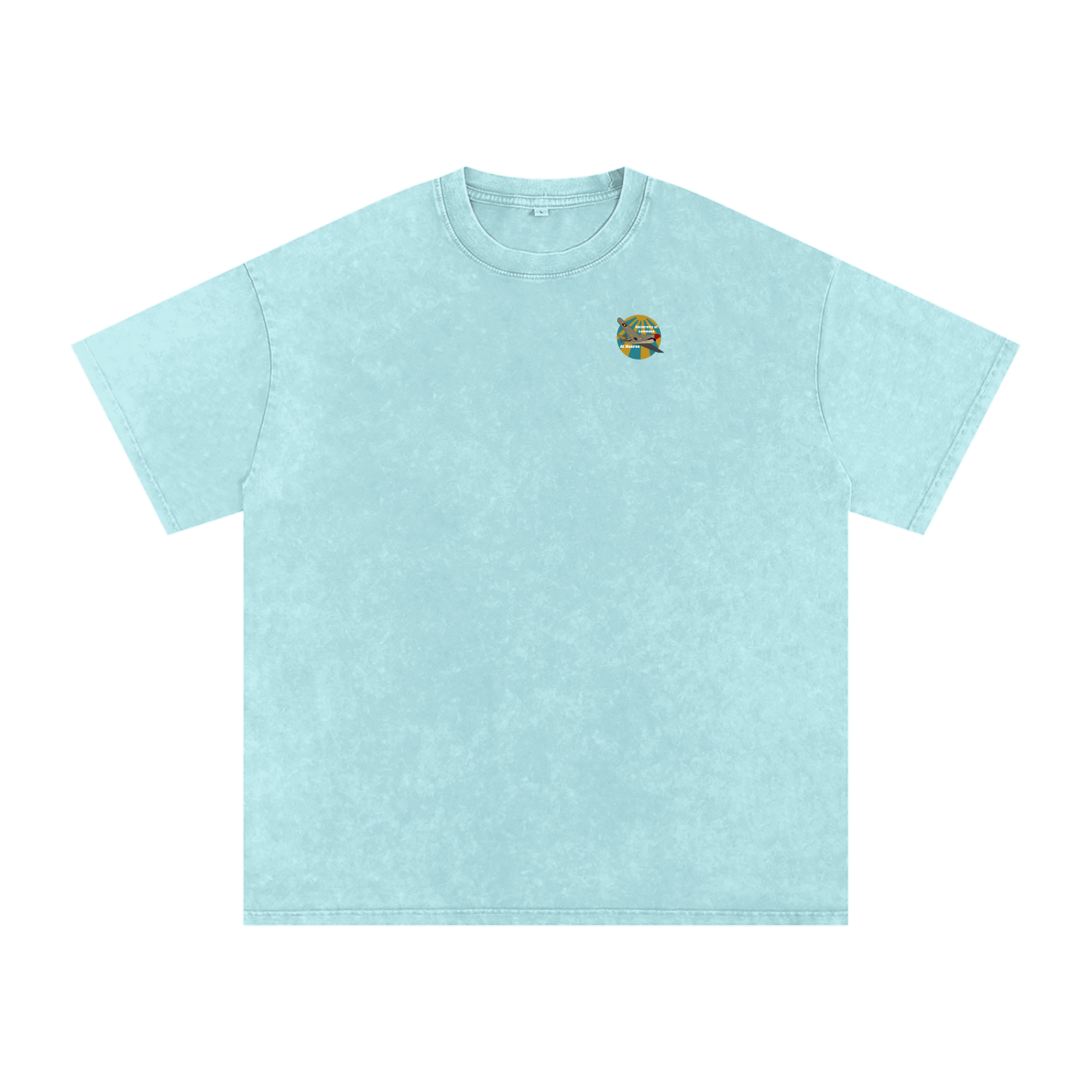 ULM P-40 Warhawk Tee