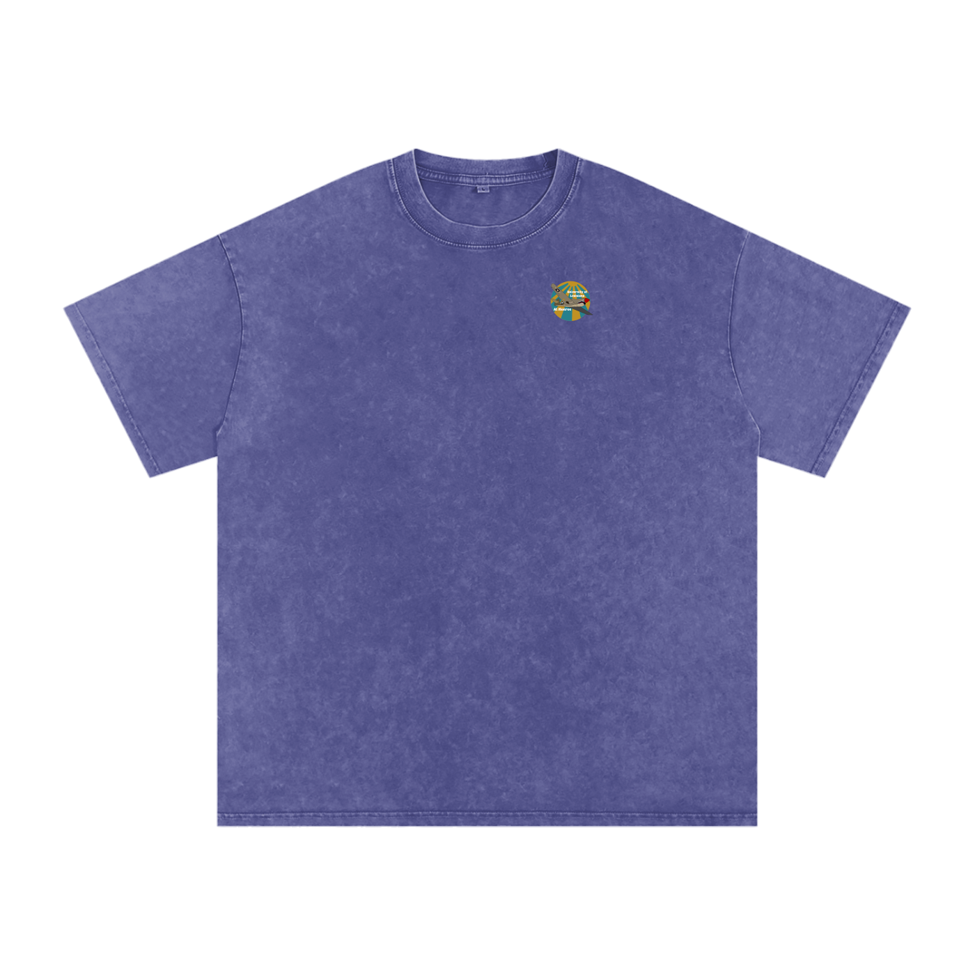 ULM P-40 Warhawk Tee