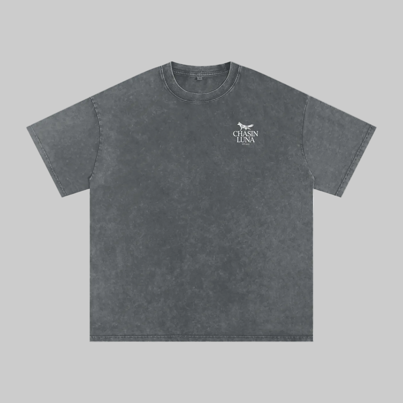 Cheniere Fox Washed Oversized Cotton T-Shirt