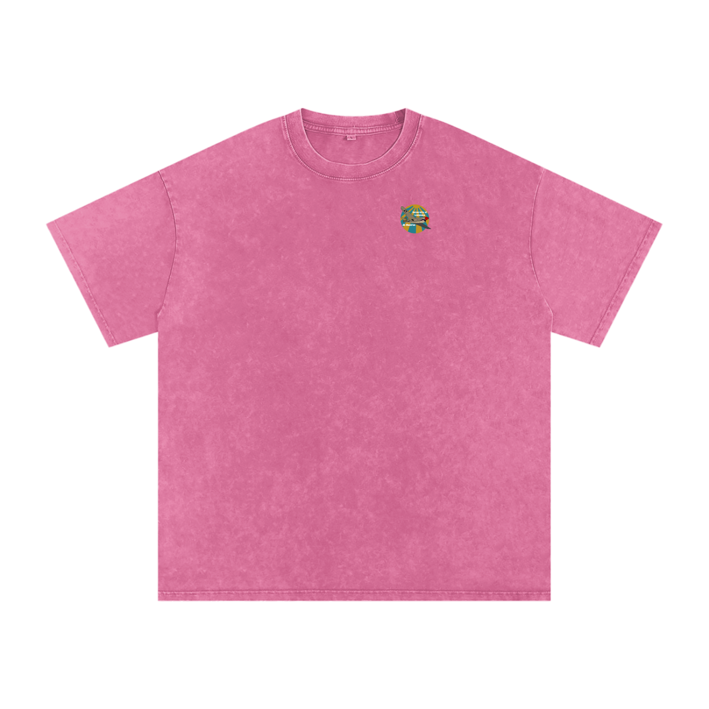 ULM P-40 Warhawk Tee