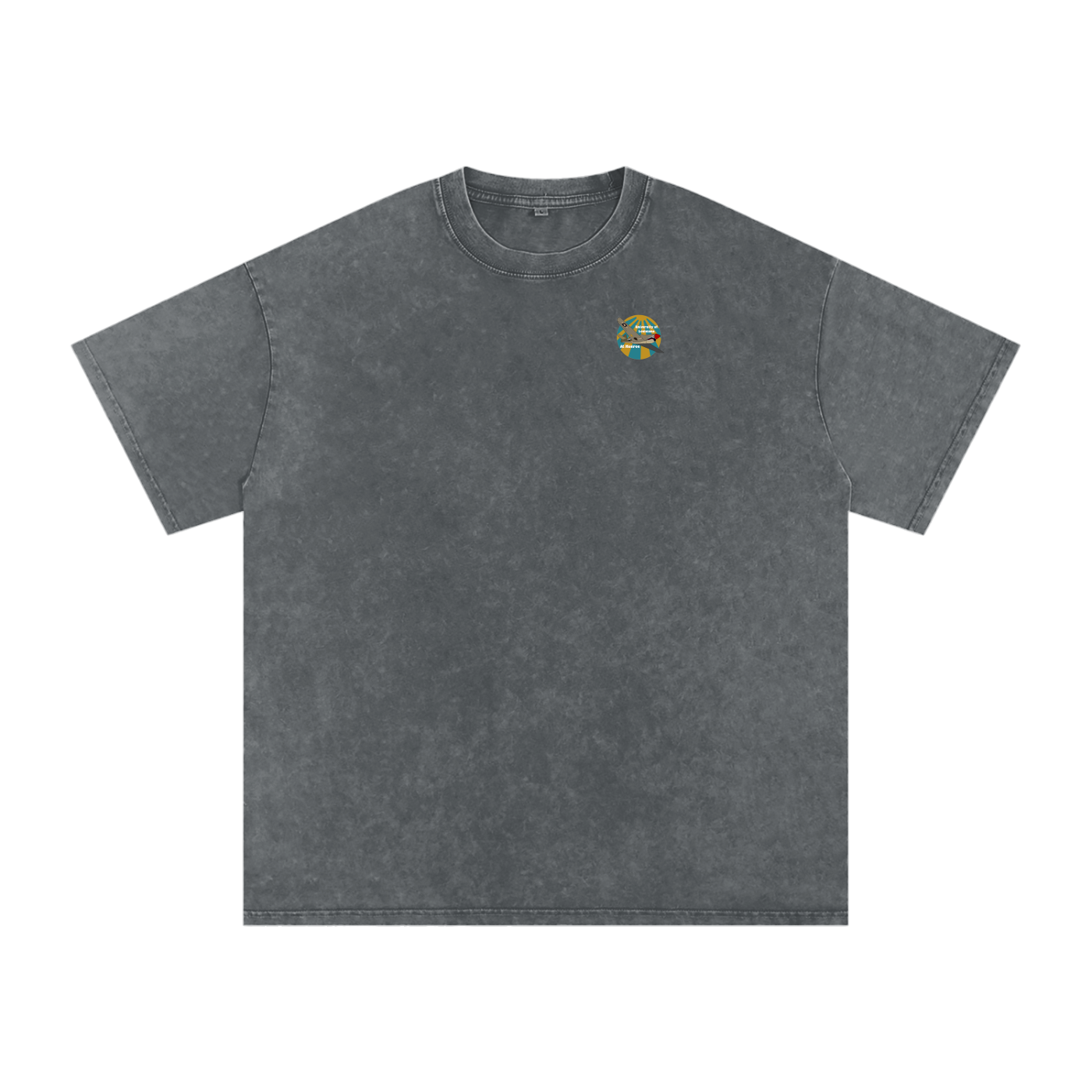 ULM P-40 Warhawk Tee