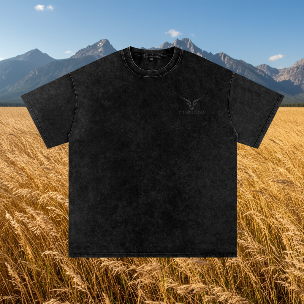 MONROE LA Washed Oversized Tee