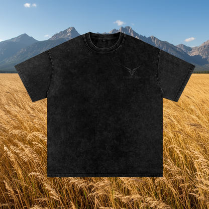 MONROE LA Washed Oversized Tee