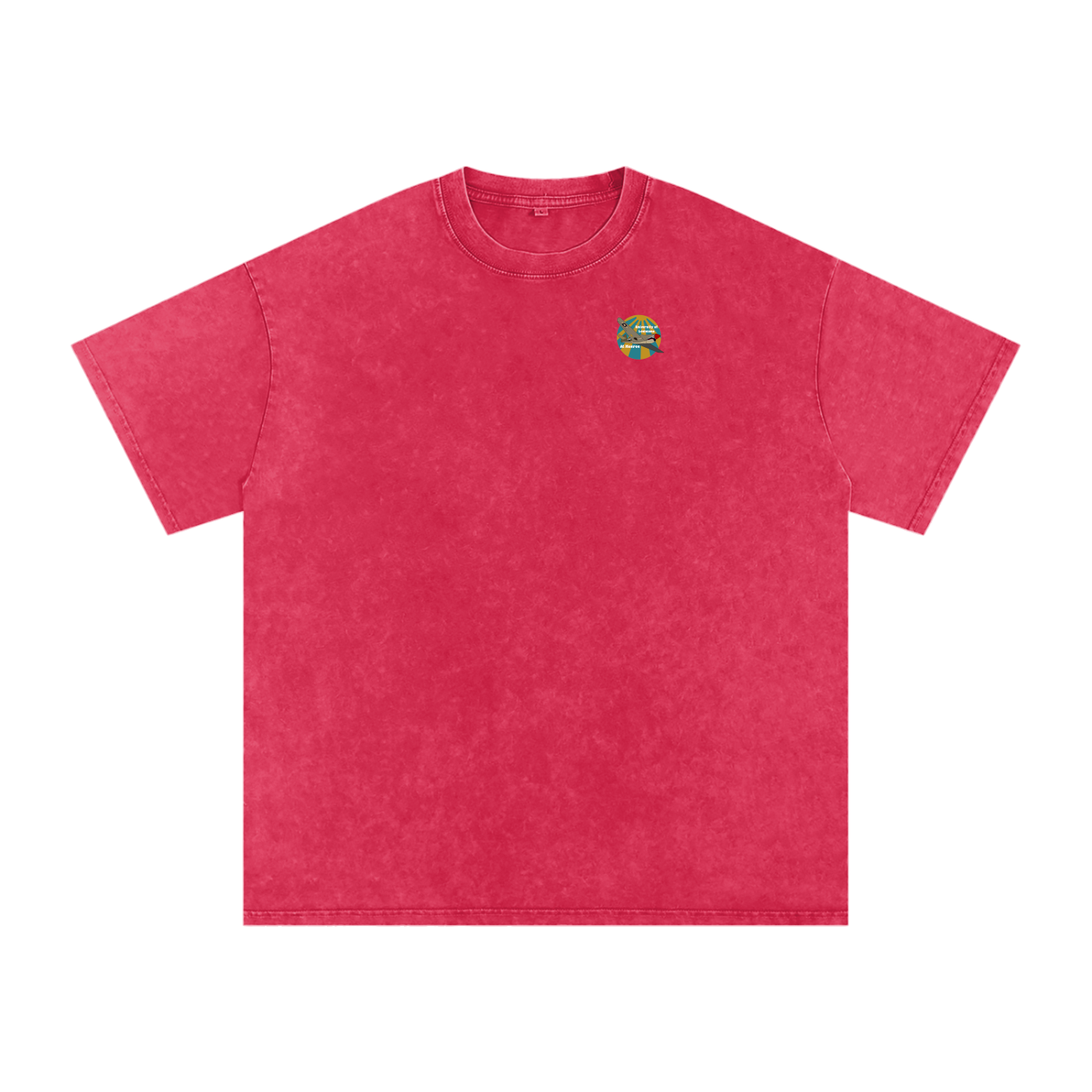 ULM P-40 Warhawk Tee