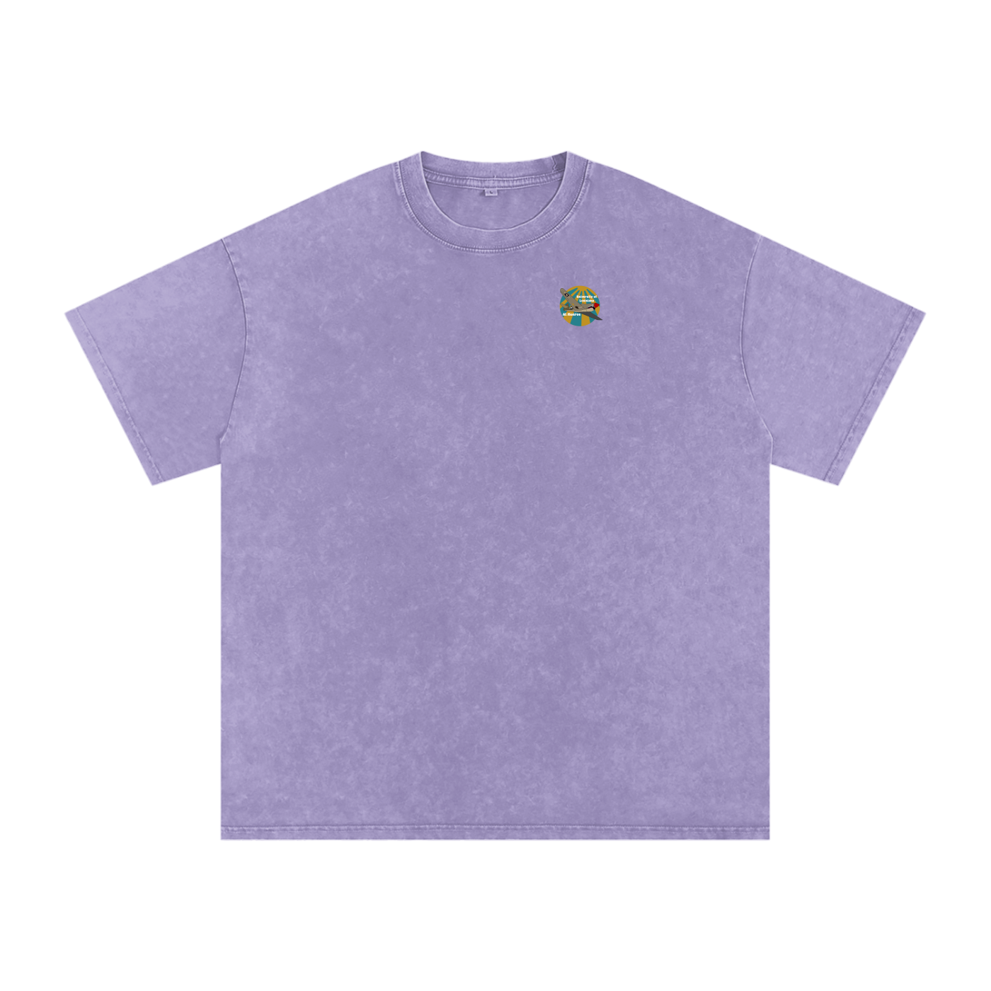 ULM P-40 Warhawk Tee
