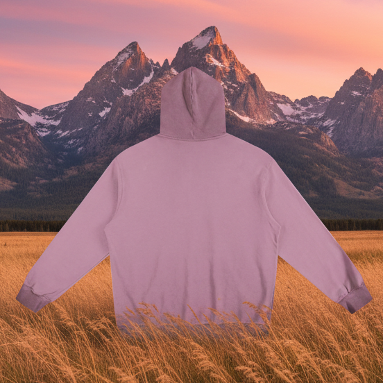 Ombre Stone Washed Colorpointed Hoodie