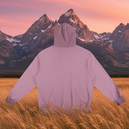 Ombre Stone Washed Colorpointed Hoodie