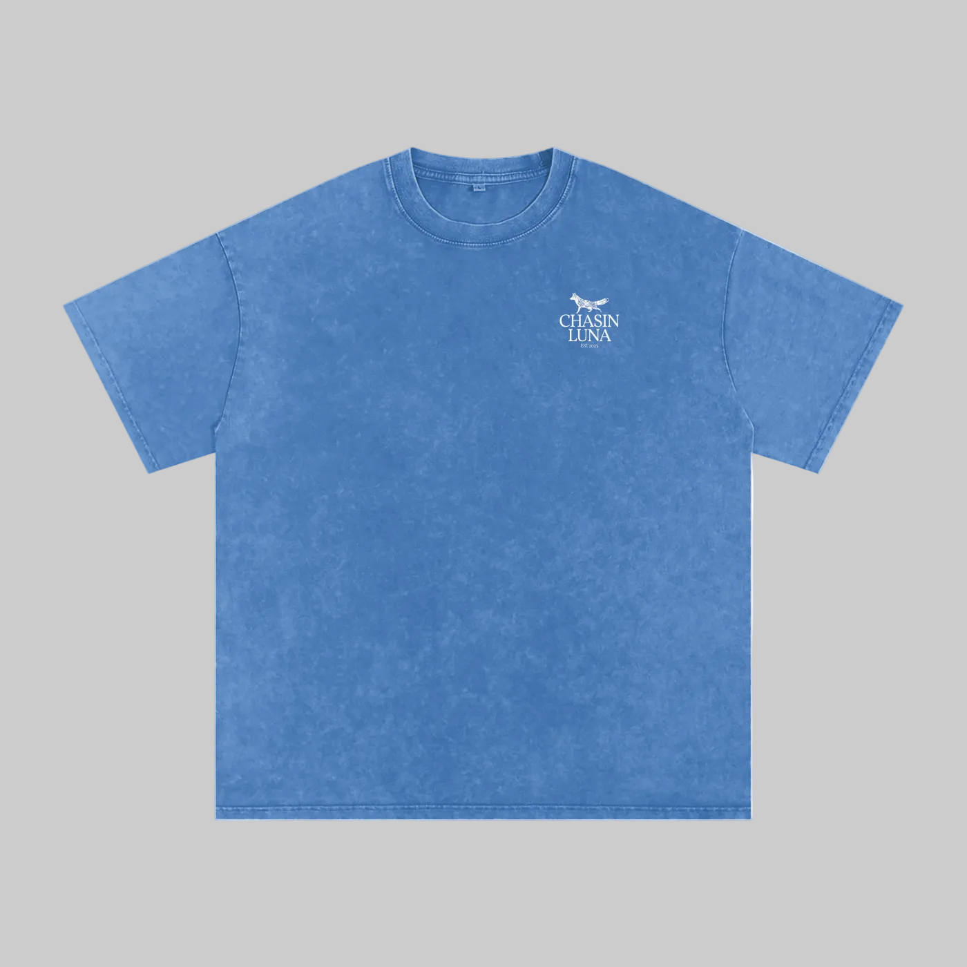 Cheniere Fox Washed Oversized Cotton T-Shirt