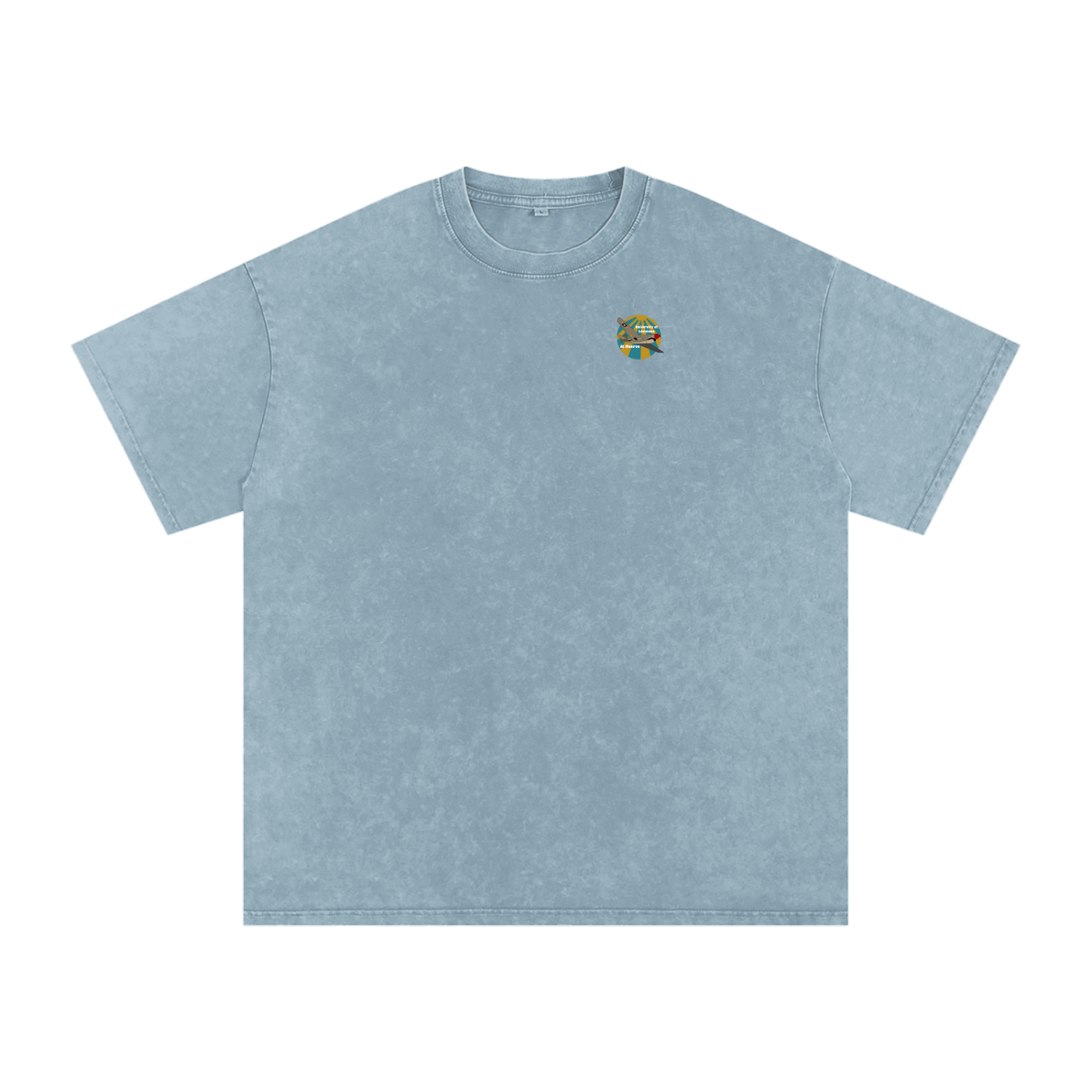 ULM P-40 Warhawk Tee