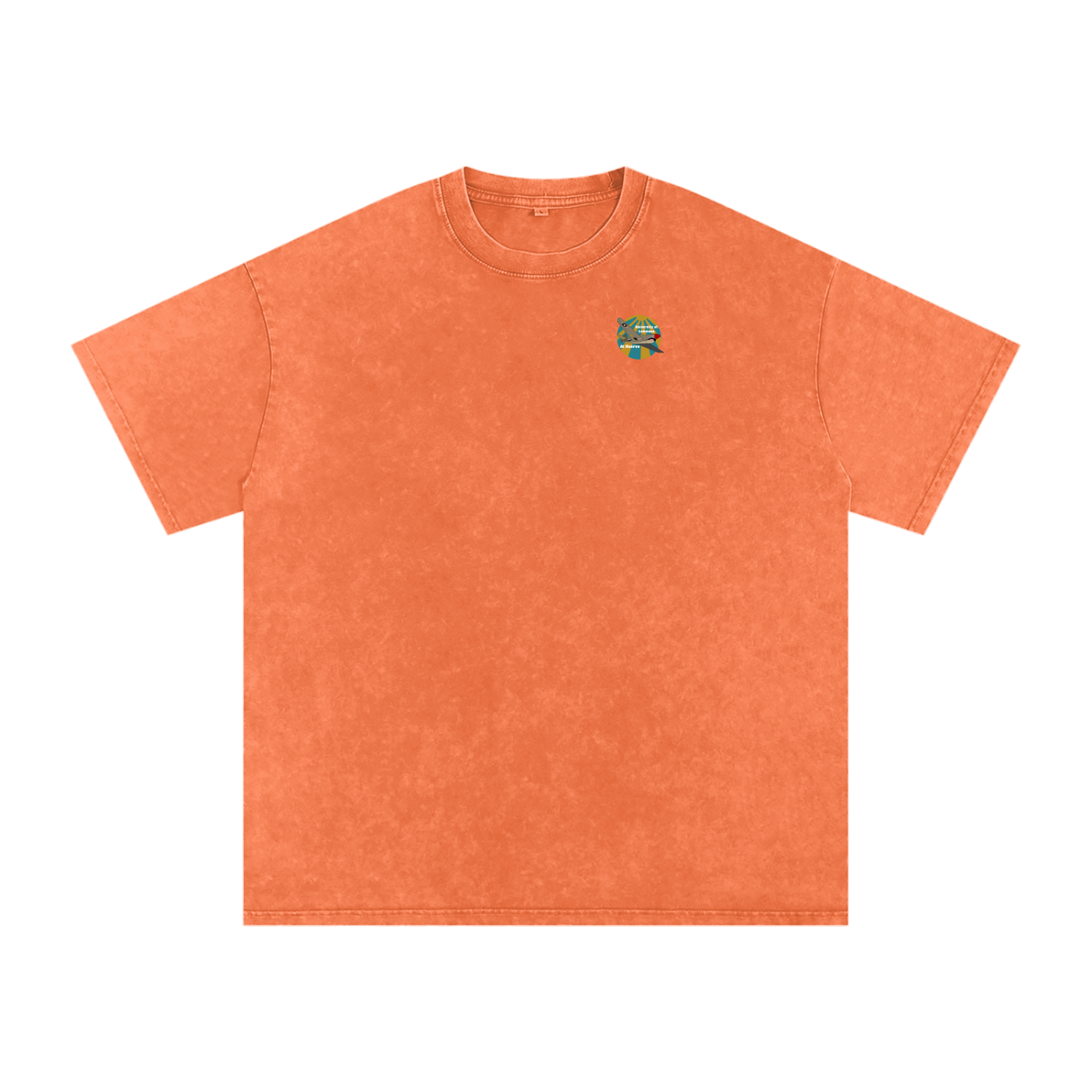 ULM P-40 Warhawk Tee