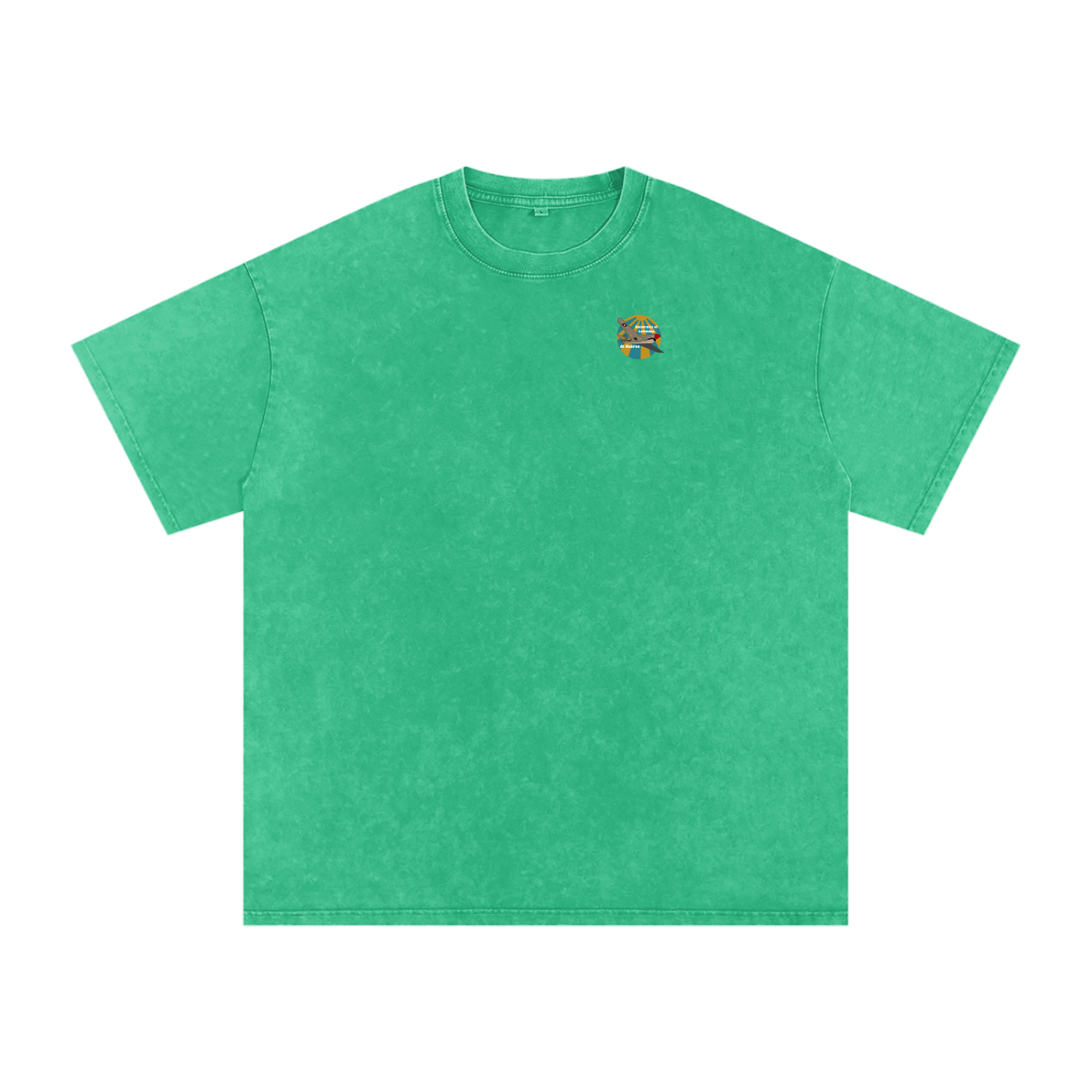 ULM P-40 Warhawk Tee