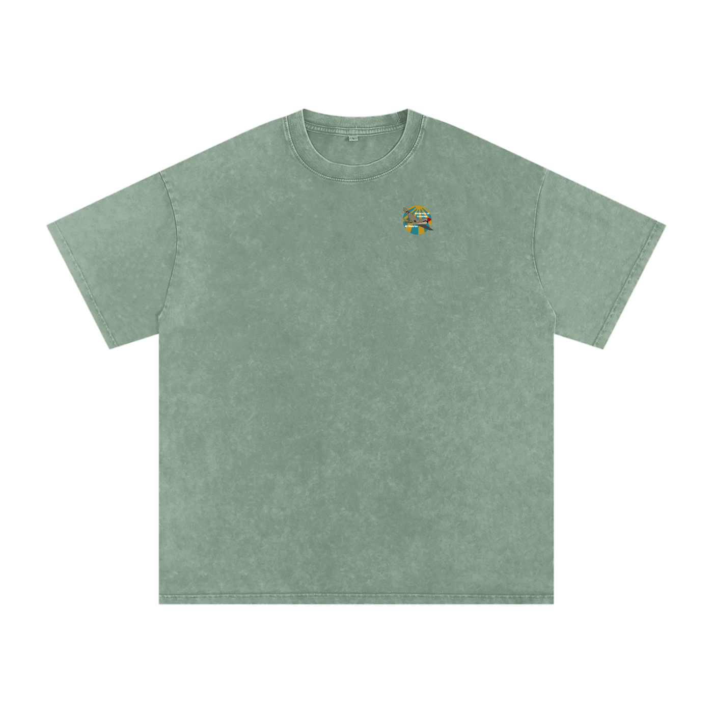 ULM P-40 Warhawk Tee