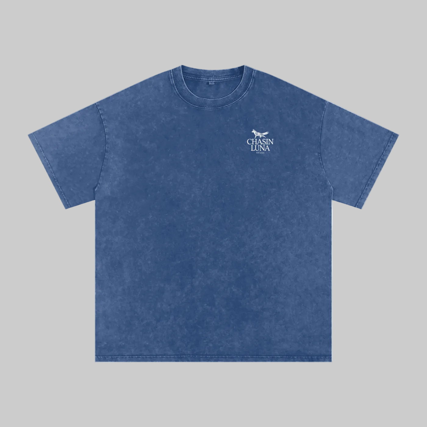 Cheniere Fox Washed Oversized Cotton T-Shirt