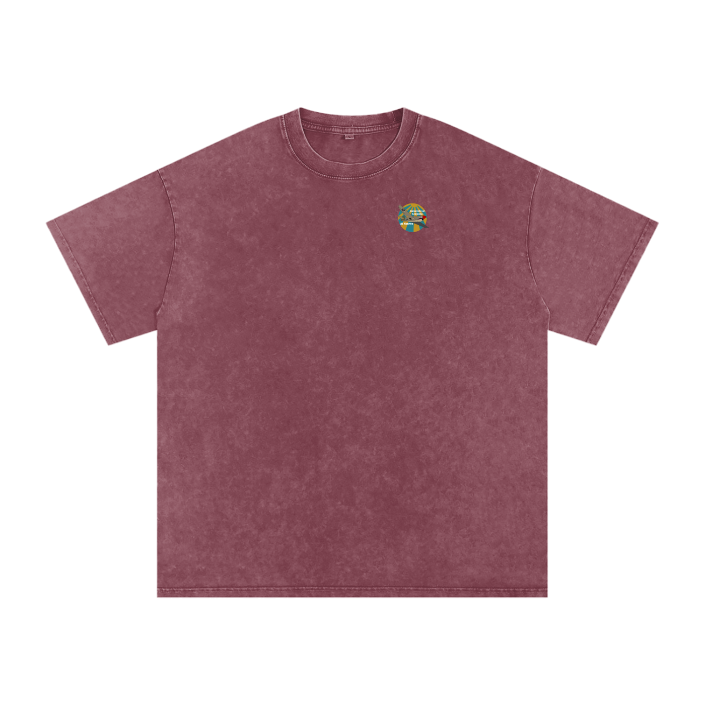 ULM P-40 Warhawk Tee