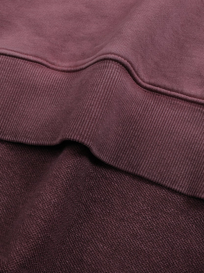 Ombre Stone Washed Colorpointed Hoodie