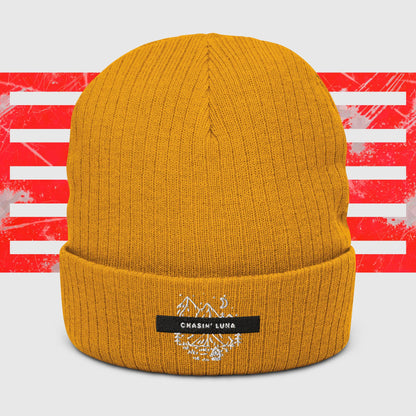 Chasin Luna Ribbed Knit Beanie