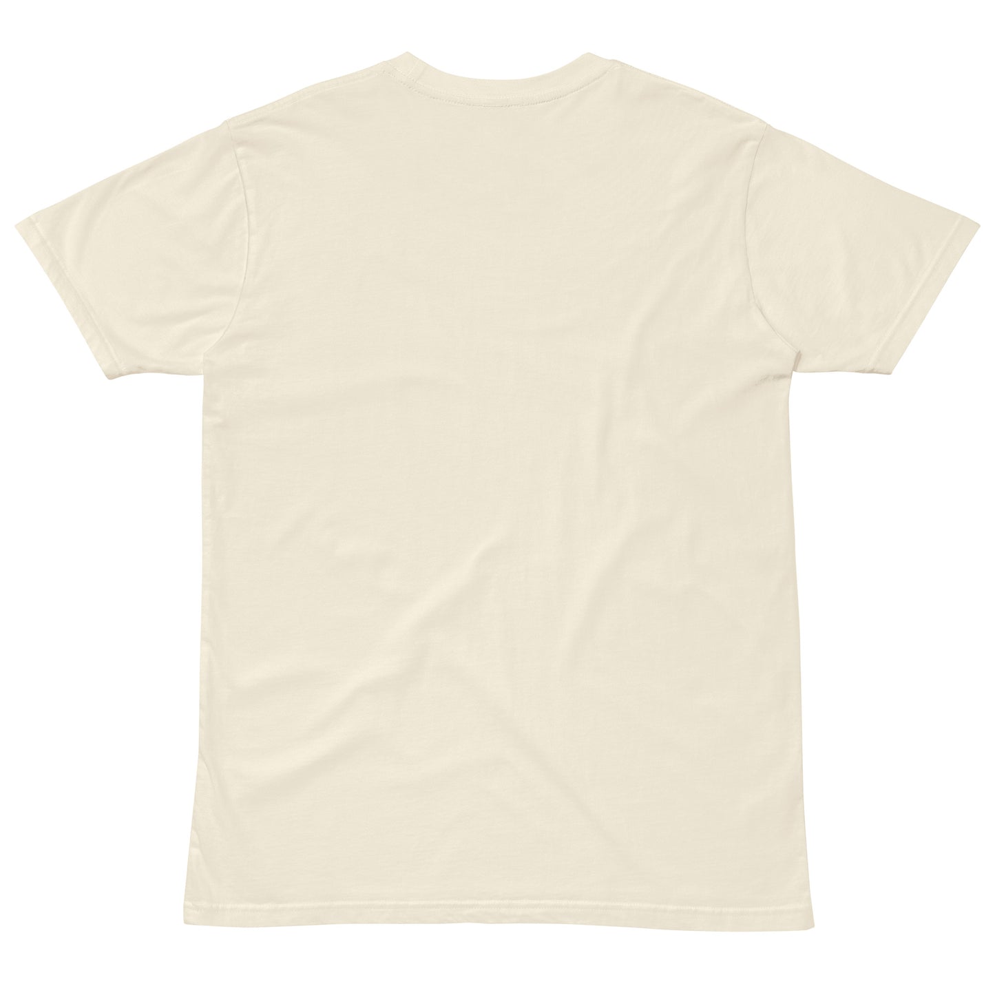 Simple T-shirt 2024 Edition