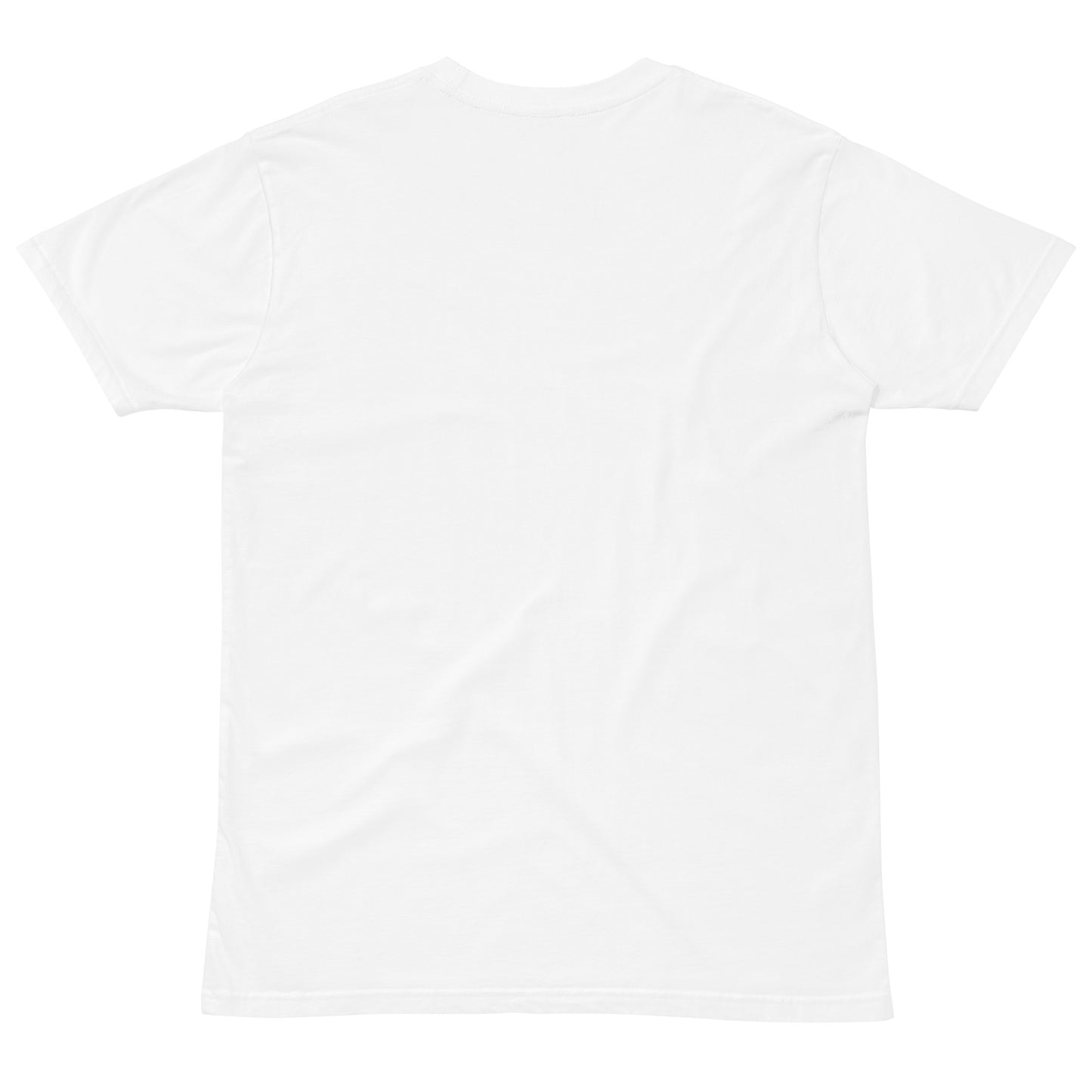 Simple T-shirt 2024 Edition